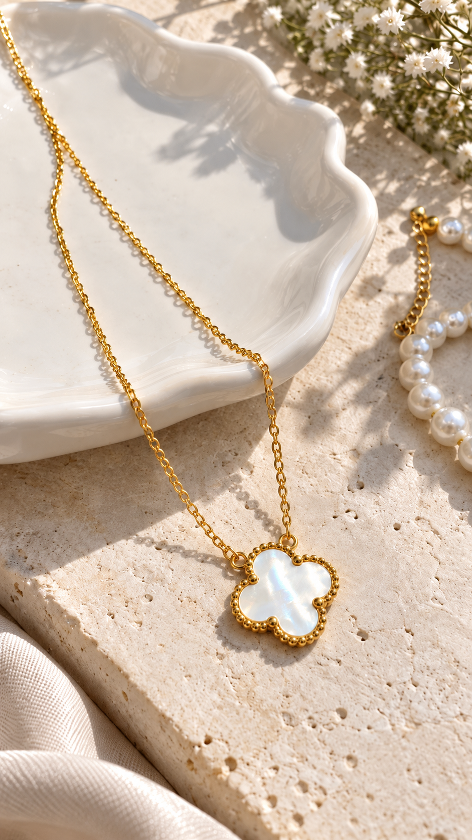 White Clover seashell ( natural seashell )